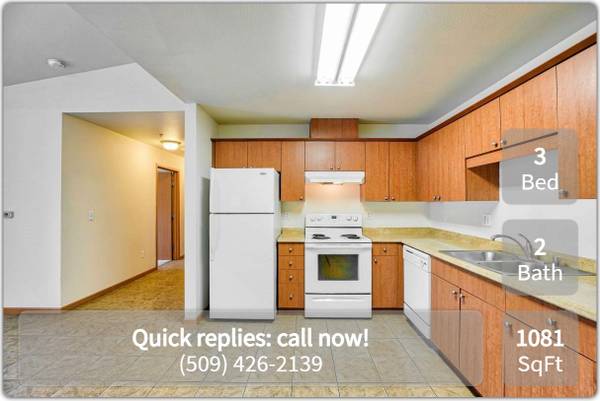 Don't wait! This spacious 3 bed, 2 bath will go fast! 1081 Sq Ft! 1