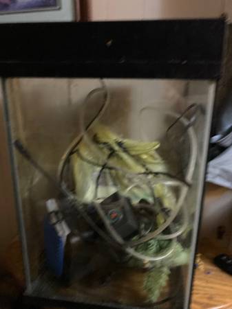 10. gallon fish tank 1
