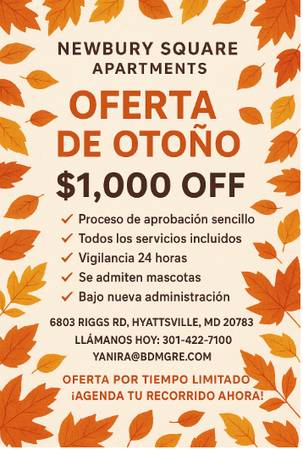 🚨 ¡OFERTA POR TIEMPO LIMITADO! 🚨 1