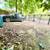 Beautiful 3 Bedroom available in Fort Greene~ Washer/Dryer in Unit ! 23 thumbnail