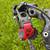 Specialized Stumpjumper Frame L 5 thumbnail