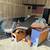 APPLIANCES FURNITURE AND EVERYTHING JUNK HAULING & REMOVAL 12 thumbnail