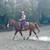 Bombproof, Beginner Safe Paint Horse Gelding for Sale 10 thumbnail