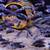 Star Sapphire Tanzania Haplochromis for sale all sizes 3 thumbnail