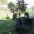 Loquat Trees 3 thumbnail