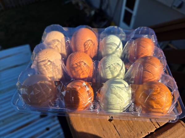 Fresh eggs 1