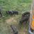 Meshian pigs 3 thumbnail
