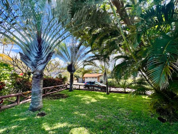 $1,900 / 400ft2 - Furnished Studio Close to Beaches, Shopping & Restaurants! (Kihei)63939389416707120