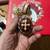Easter Eggs Ukrainian Hand Painted 3 thumbnail