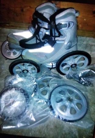 Landrollers/Rollerblades 1