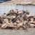 Free mix wood  firewood 2 thumbnail