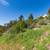 Lot in Oakland Hills.  Priced far below appraisal by motivated seller! 12 thumbnail