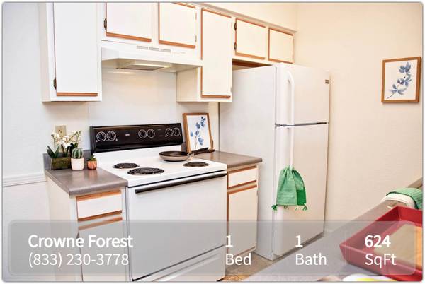 Your Pets are like Family Here! We love dogs and cats! 1 Bed, 1 Bath 1