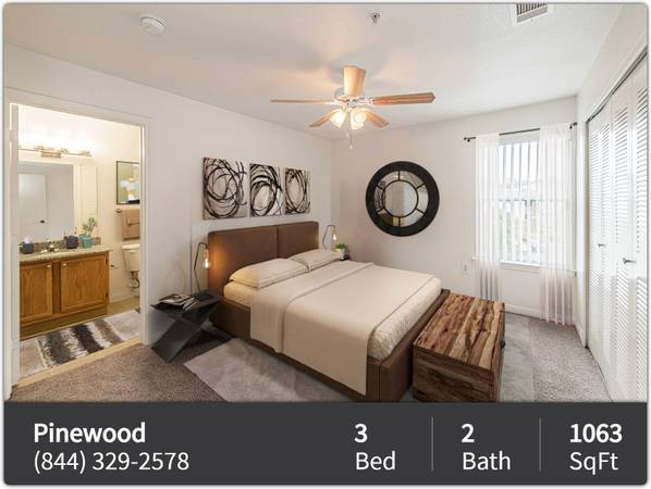 $1,250 / 3br - 1063ft2 - Clean and spacious 1063 Sq Ft, 3 BR / 2 BA with gorgeous views (Houston - North Houston)63924168717826122