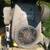 Cub cadet mower 2 thumbnail