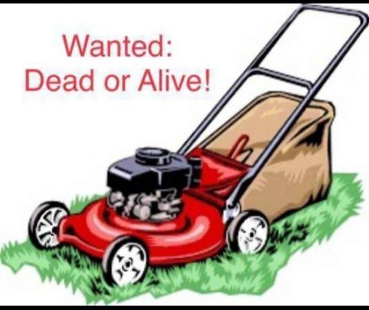 Lawn mower wanted 1