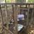 Barn Cats for Rodent Control - Neutered/vaccinated/delivered FREE! 15 thumbnail