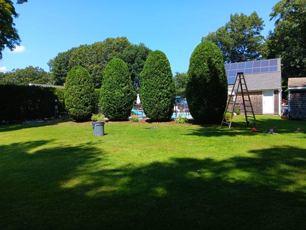 Affordable Yard work services 1