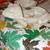 Decor frogs 5 thumbnail