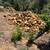 pine and oat and walnut firewood for sale 2 thumbnail