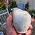German china porcelain Hutschenreuther Selb Bavaria Floral Tea Pot & 7 thumbnail