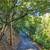 1.75 acres in Bay Area for $170,000....um, what? 8 thumbnail