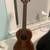 Kala ukulele 1 thumbnail