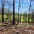 Arkansas  Ozarks 11 thumbnail