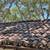 Beautiful Vintage 1920's American Handmade Clay Roof Tile 8 thumbnail