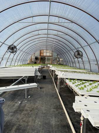 Commercial greenhouse liquidation 1