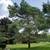 Work Remotely from Home in Elite West Bloomfield Condo 10 thumbnail