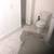 PITTSBURGH #1 PLUMBING COMPANY  beat any price guarantee 13 thumbnail
