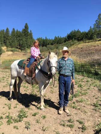 Kids Horse 1