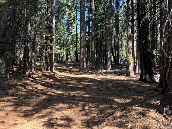 $169,000 Enjoy Nearby Lakes and Easy Access on 5.01 Acres (Nevada City)63952104072194120