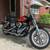 GORGEOUS 2008  Harley Davidson Dyna Low Rider (FXDL) 1 thumbnail