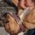 Dog needs new home 4 thumbnail