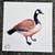 Original Canada Goose Illustration - Hand-Signed 6"x6 Watercolor & Ink 3 thumbnail