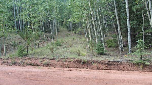 $19,999 / 40511ft2 - VERY NICE Mountain Land in Teller County-Tall Aspens and Pines, LEVEL (Teller County)63658179148035120
