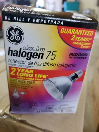 Exterior flood light bulbs 1