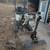 Bobcat mini excavator 5 thumbnail