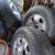 Silverado wheels and tires 2 thumbnail