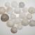 Sand Dollars / Lot 4 thumbnail