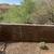 Jorge’s Landscaping & hauling services & tree removal 5207890148 14 thumbnail