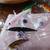 Eight (8) Floating-Sinking-Suspended  Fishing Lures  L-#55 6 thumbnail