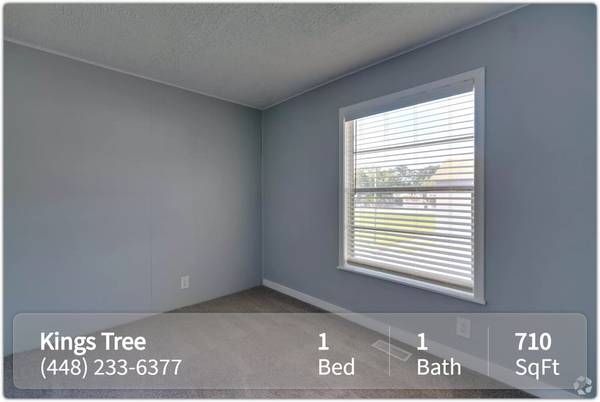 $1,050 / 1br - 710ft2 - Looking for the ideal 1 bed / 1 bath? Check out community! (Orange Park)64014801382787122