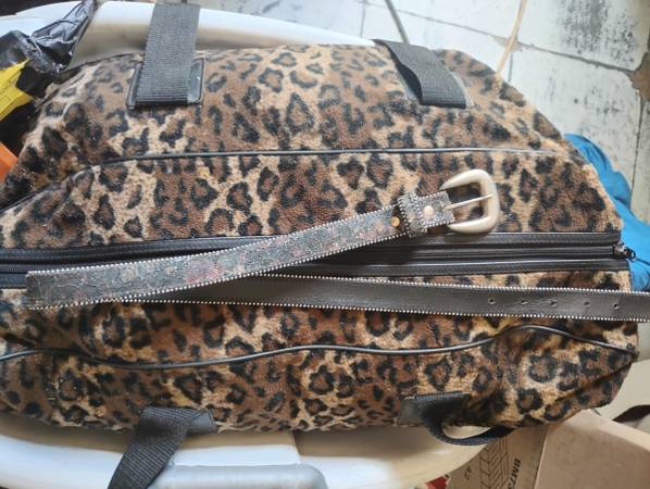 A Nice Glittery Small Belt 1