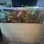 Aquarium 1 thumbnail