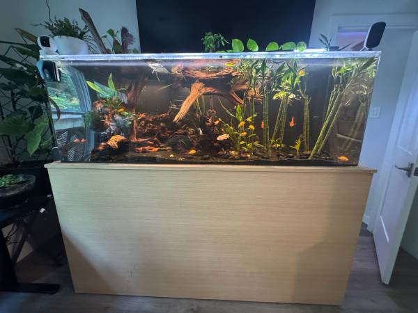 Aquarium 1