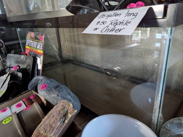 20 gallon long enclosure $50 1