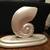 Accent Console Nautical Seashell Table 3 thumbnail